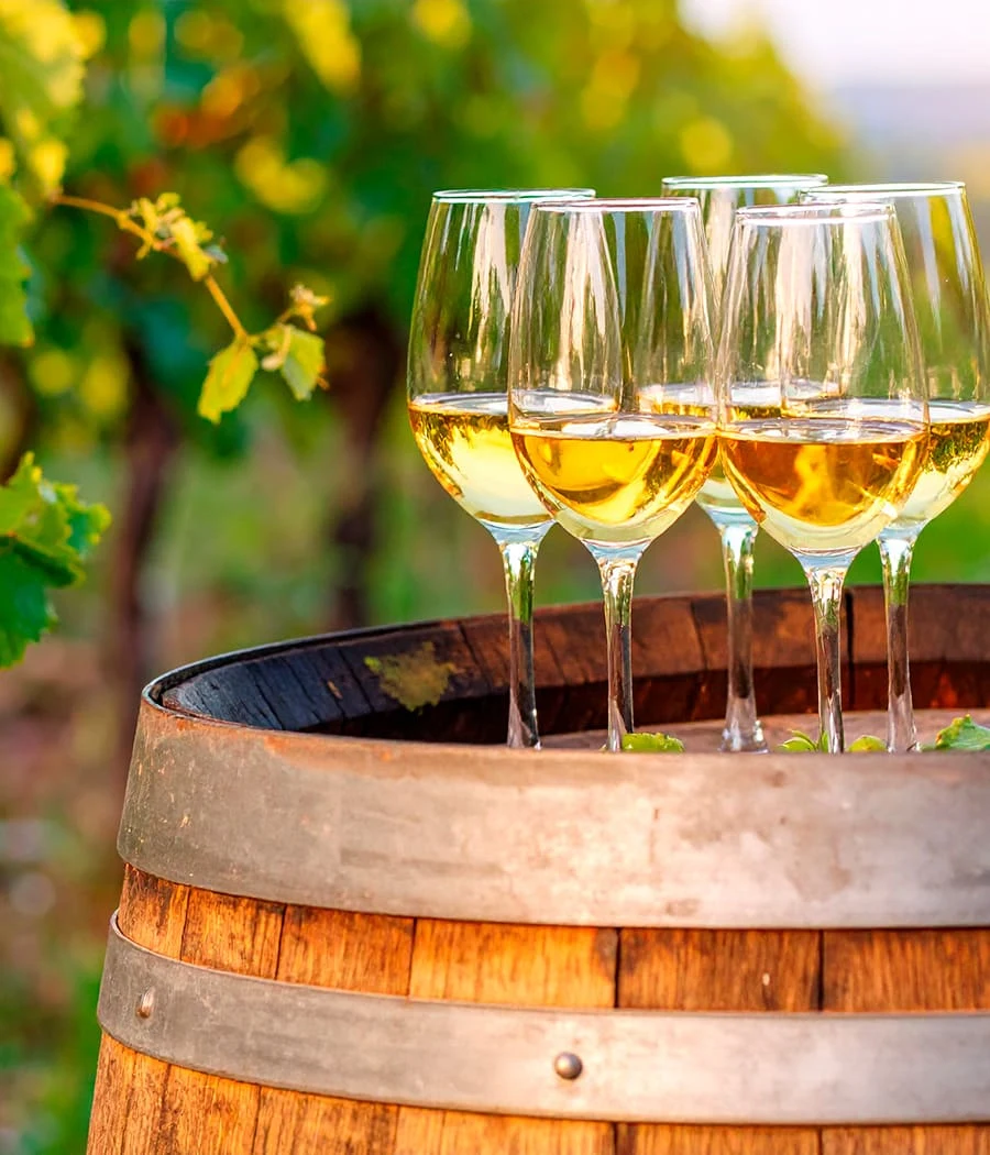 vinsmagning